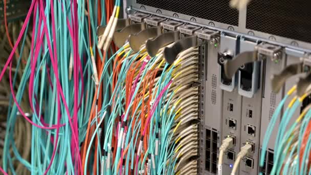 데이터 센터에 광섬유 네트워크 케이블 Rj45 네트워크 케이블로 네트워크 스위치 — 비디오