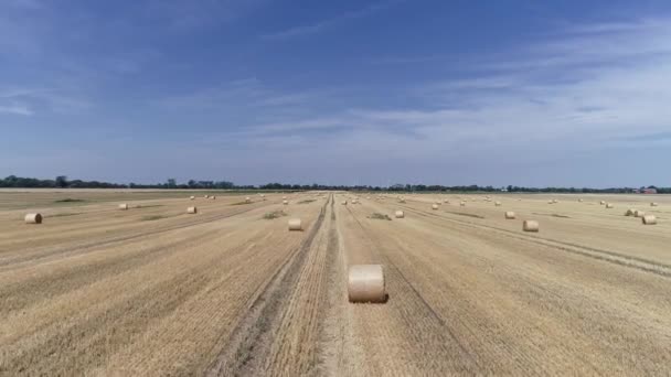 Drone Flight Straw Ball Field — Stock Video