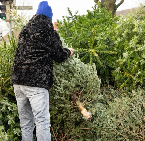 Hombre Deja Abeto Navidad Después Navidad —  Fotos de Stock