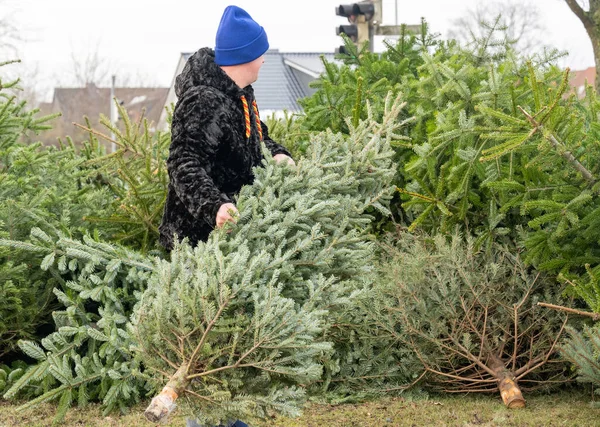 Adam Noel Den Sonra Noel Ağacını Çöpe Atıyor — Stok fotoğraf