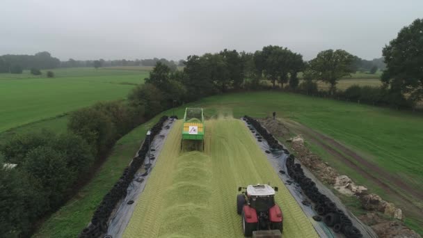 Tractor Maïshelikopter Gefilmd Met Drone Tijdens Maïsoogst — Stockvideo