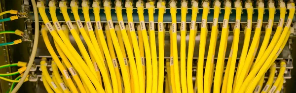 데이터 센터에 Rj45 네트워크 케이블과 네트워크 스위치 — 스톡 사진