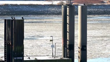 Hamburg limanında buz kütleleri ve sürüklenen buz