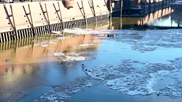 Ijsvlotten Drijfijs Haven Van Hamburg — Stockvideo