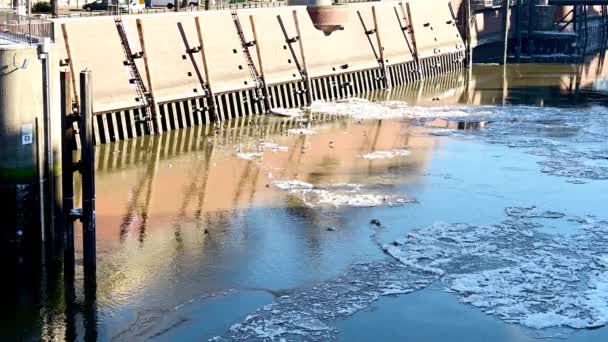 Eisschollen Und Treibeis Hamburger Hafen — Stockvideo