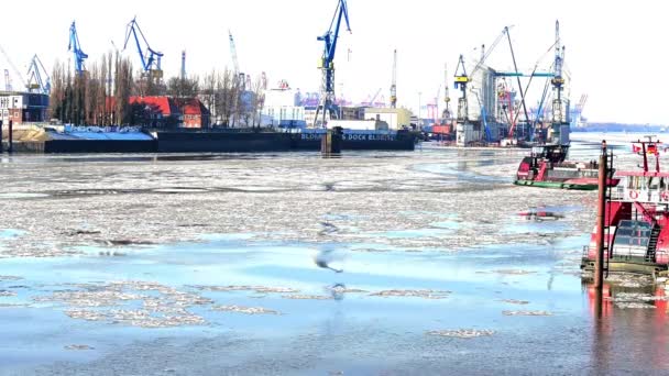 Ледяные Нити Дрейф Льда Порту Гамбурга — стоковое видео