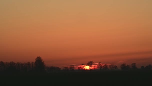 Atardecer Intenso Causado Por Capa Aérea Saharaui Sobre Norte Alemania — Vídeo de stock