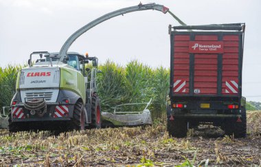 FENDT 820 Vario traktörü, at arabası ve Claas Jaguar mısır helikopteri. 