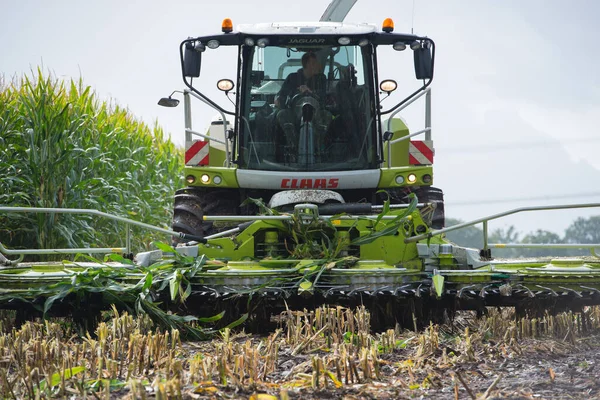 Claas Jaguar 960 Kukuřičný Vrtulník Během Sklizně Kukuřice — Stock fotografie