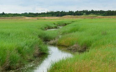 Wadden Denizi 'ndeki gelgit deresi Sankt Peter-Order' daki Kuzey Denizi kıyısında kumlu bir plajın önünde.