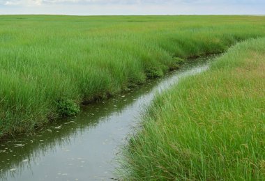 Wadden Denizi 'ndeki gelgit deresi Sankt Peter-Order' daki Kuzey Denizi kıyısında kumlu bir plajın önünde.