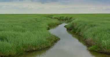 Wadden Denizi 'ndeki gelgit deresi Sankt Peter-Order' daki Kuzey Denizi kıyısında kumlu bir plajın önünde.