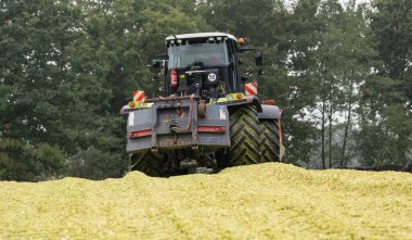 Mısır hasadı sırasında CLAAS 4000 Xerion traktörü