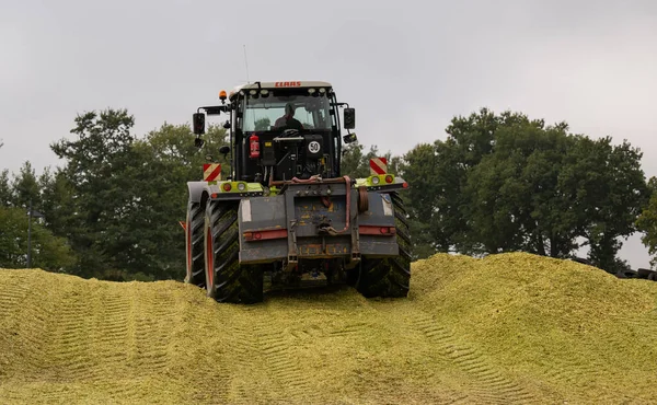 Tracteur Claas 4000 Xerion Pendant Récolte Maïs — Photo