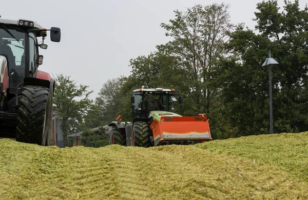Claas 4000 Xerion Tractor Steyr 6140 Profi Tractor Durante Cosecha — Foto de Stock