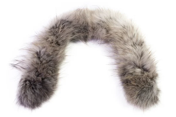 Silver Fox Fur — Stock Photo, Image