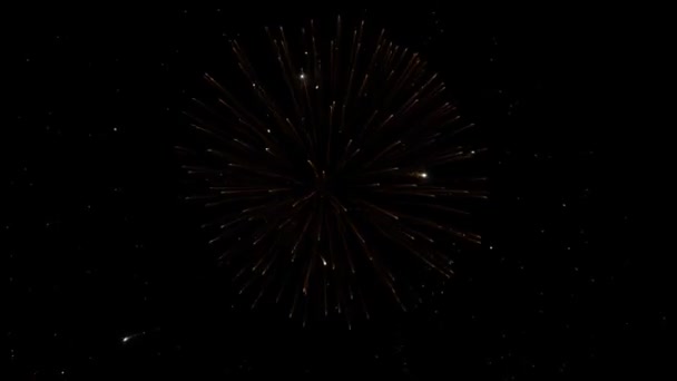 Fogos de artifício de Ano Novo — Vídeo de Stock