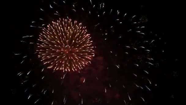 Fogos de artifício de Ano Novo — Vídeo de Stock