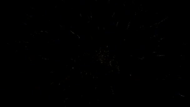 New Year's Eve fireworks — Stock Video