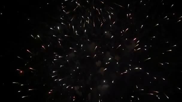 Vuurwerk op nieuwjaarsavond — Stockvideo