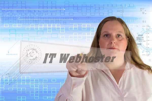 IT Webhoster — Stock Photo, Image