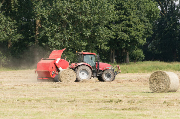 Hay harvest in green field