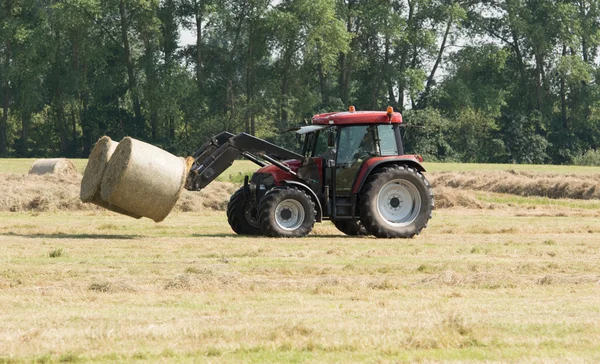 Cosecha de heno en campo verde — Foto de Stock