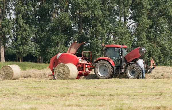 Széna betakarítás a zöld mezőben — Stock Fotó