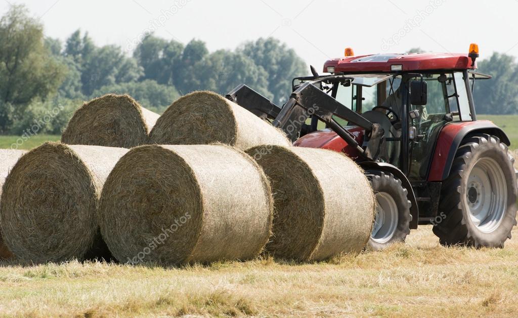 Hay harvest in green field