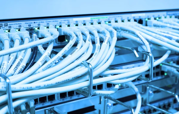 Network Switch LAN — Stock Photo, Image