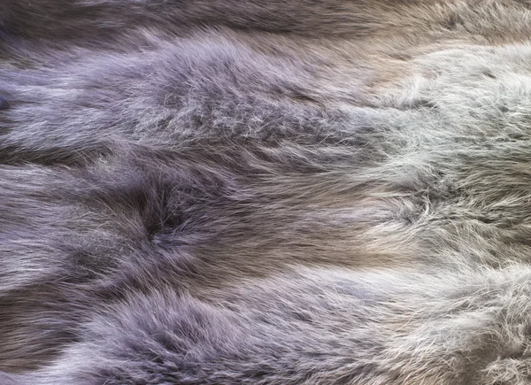 毛皮の背景 — ストック写真