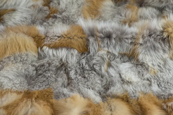 Red fox fur — Stock Photo, Image