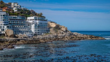 Kamp Koyu, Cape Town, Güney Afrika 'nın bir banliyösüdür.
