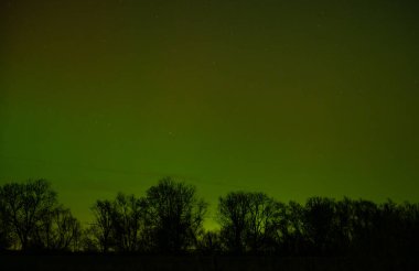Kuzey Almanya 'da gökyüzünde kuzey ışıkları - Holstein