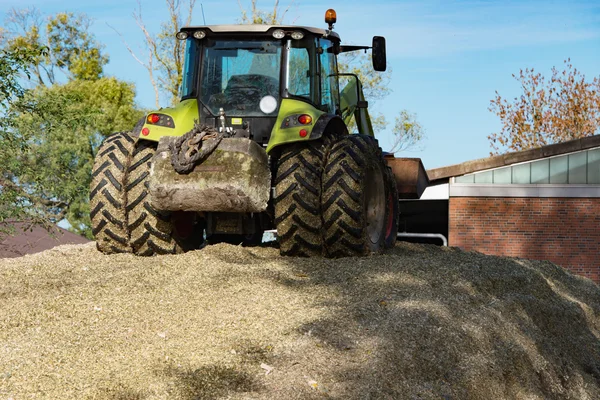 Cultivo de maíz para energía de biogás —  Fotos de Stock