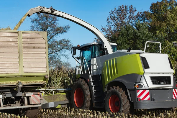 Maisernte für Biogasenergie — Stockfoto