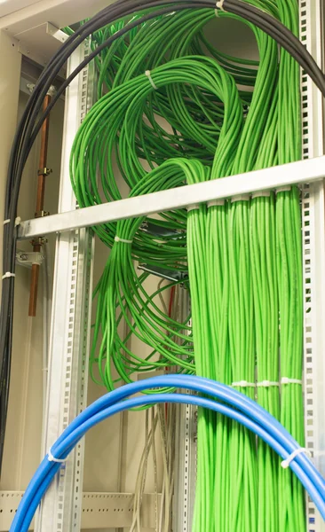 Hálózati lan patch panel — Stock Fotó