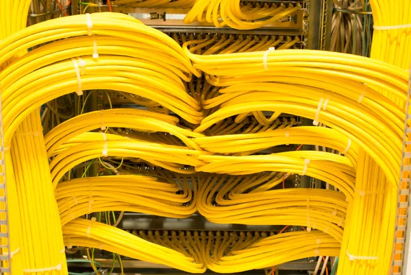Panel de conexión LAN de red — Foto de Stock