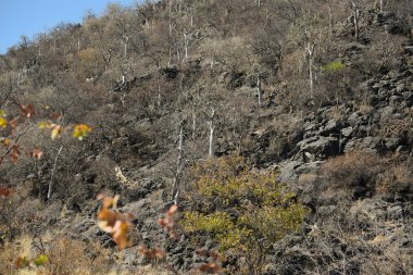 Dağların üzerinden Afrika etkin Milli Parkı