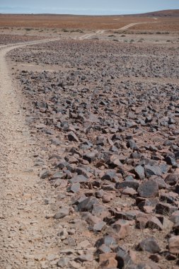 Namibya Afrika Taş Çölü