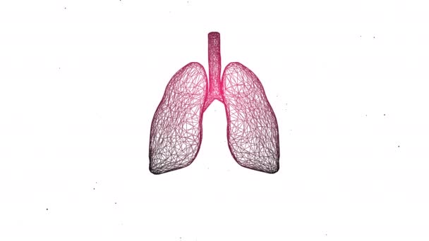 4k Video der gravierten Illustration der Lungenstruktur des Menschen mit seinen funktionierenden Teilen. — Stockvideo