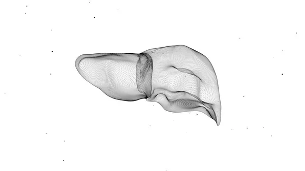 肝臓のコンピュータ診断の3Dイラスト. ストック写真