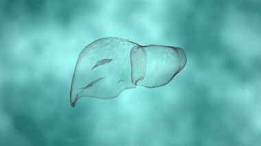 4k 'lık fütürist parlayan düşük çokgen insan karaciğeri videosu..