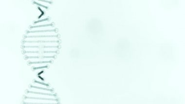 Beyaz arka planda dönen bir DNA 'nın çarpıtılmış kopyası.