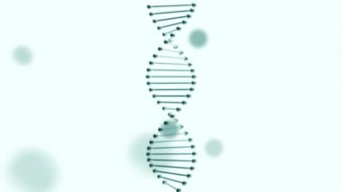 Gerçekçi DNA çifte Hellix açık mavi bir arkaplanda dönüyor.