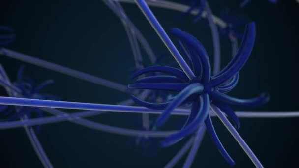 4k video van dendriet van een axon, slanke projectie van een zenuwcel. — Stockvideo