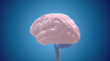 Mavi arkaplanda dijital insan beyninin 4k videosu.