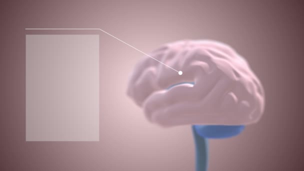 4k video van digitale menselijke hersenen op grijze achtergrond. — Stockvideo