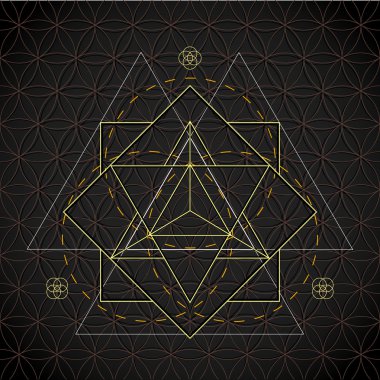 merkaba anahat çiçek hayat kutsal geometr