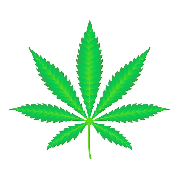 矢量大麻大麻现实例证 — 图库矢量图片